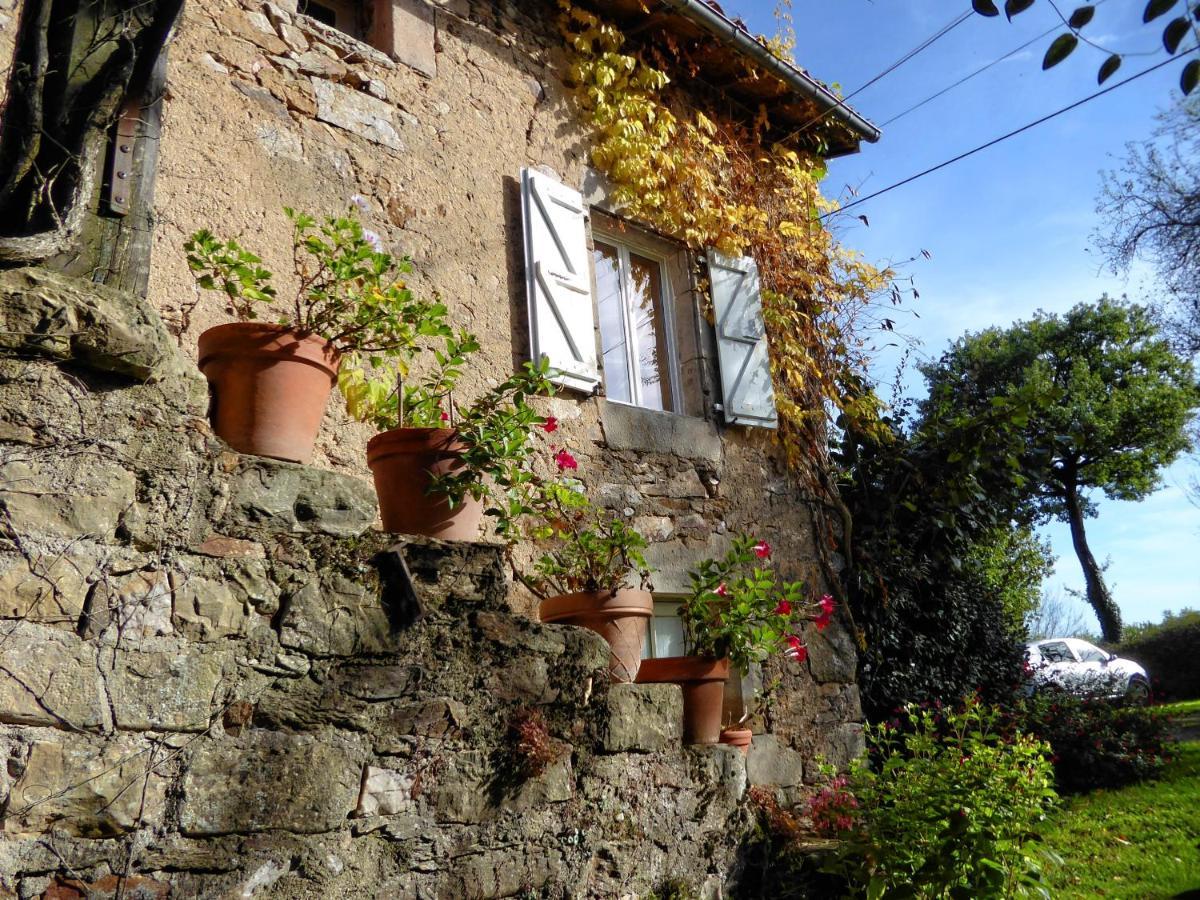 Bed and Breakfast La Basserie Laguépie Exterior foto